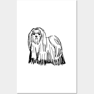 Maltese Dog Sketch Posters and Art